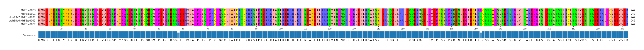 Multiple Alignments (by translate haplotype similarity)