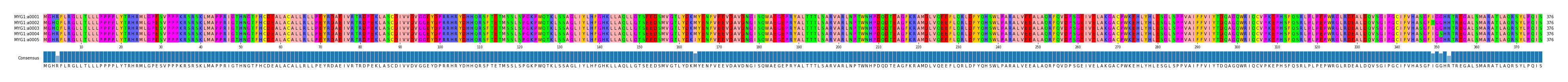 Multiple Alignments (by translate haplotype frequency)