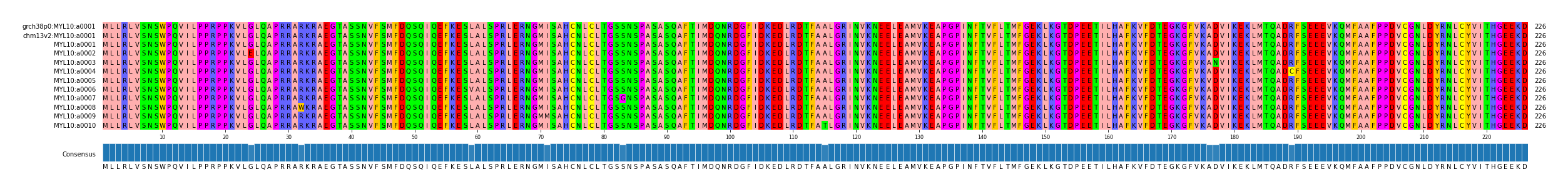 Multiple Alignments (by translate haplotype frequency)
