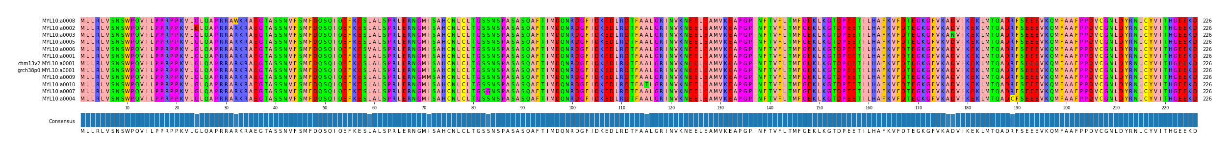 Multiple Alignments (by translate haplotype similarity)