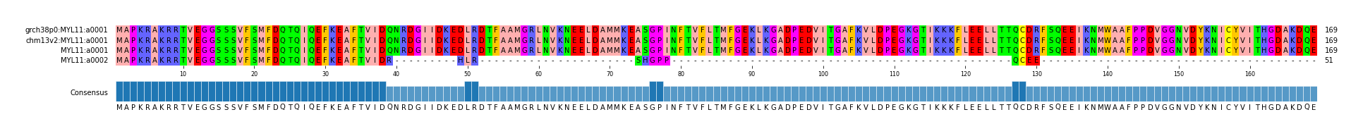 Multiple Alignments (by translate haplotype similarity)