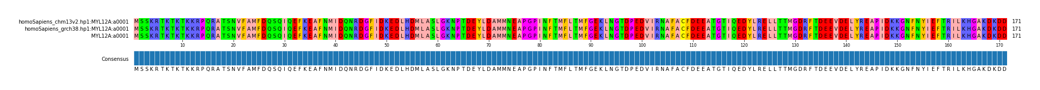 Multiple Alignments (by translate haplotype similarity)