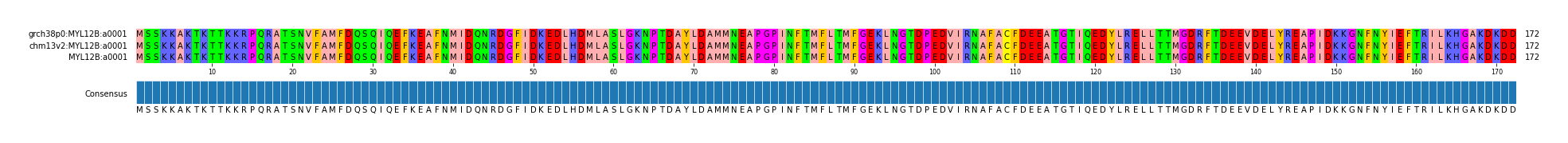 Multiple Alignments (by translate haplotype similarity)