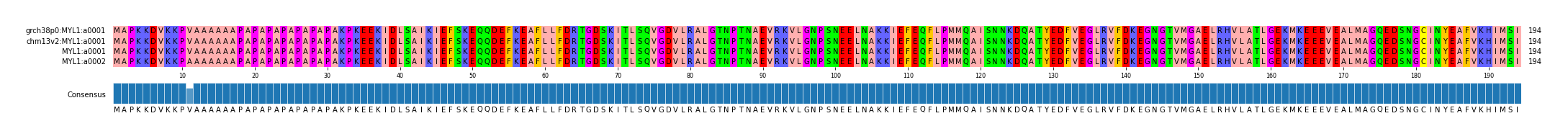 Multiple Alignments (by translate haplotype similarity)
