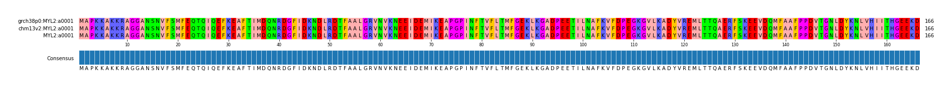 Multiple Alignments (by translate haplotype similarity)