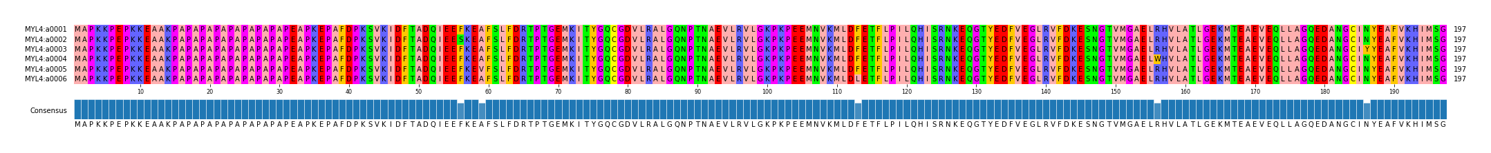 Multiple Alignments (by translate haplotype frequency)