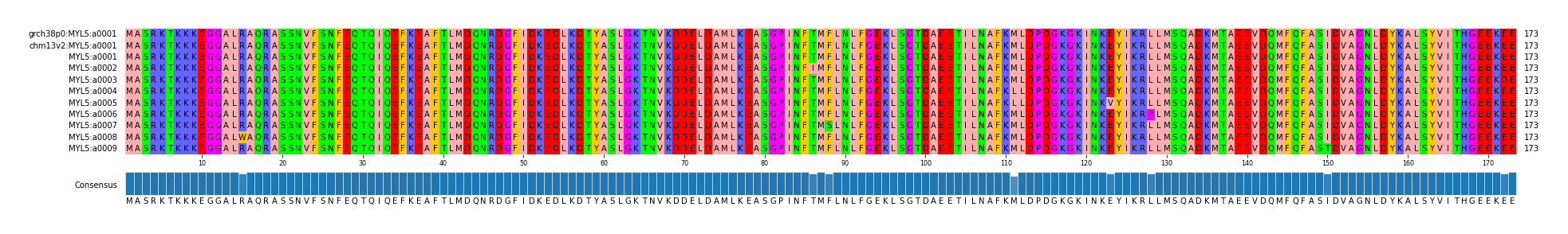 Multiple Alignments (by translate haplotype frequency)