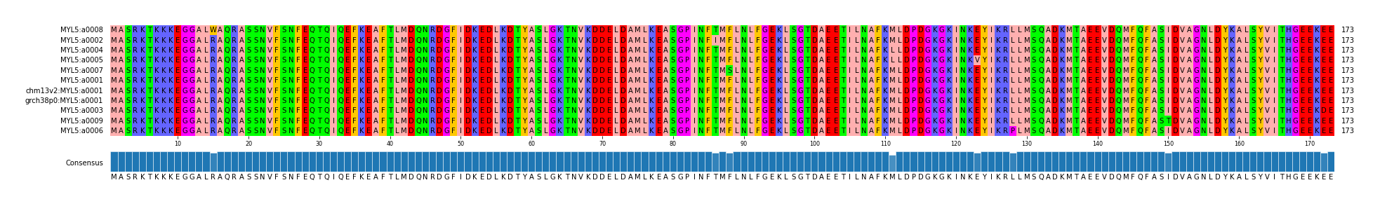 Multiple Alignments (by translate haplotype similarity)