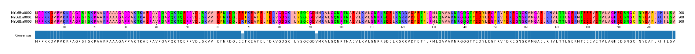 Multiple Alignments (by translate haplotype similarity)