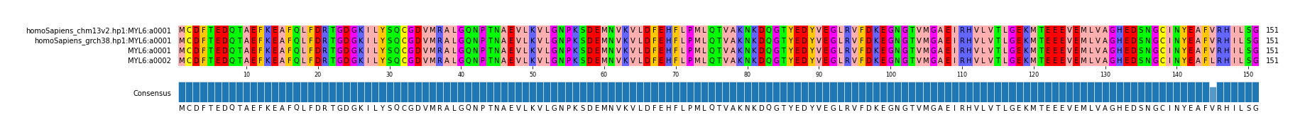 Multiple Alignments (by translate haplotype frequency)