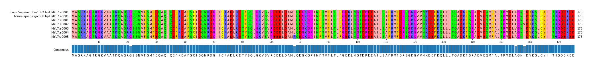 Multiple Alignments (by translate haplotype frequency)