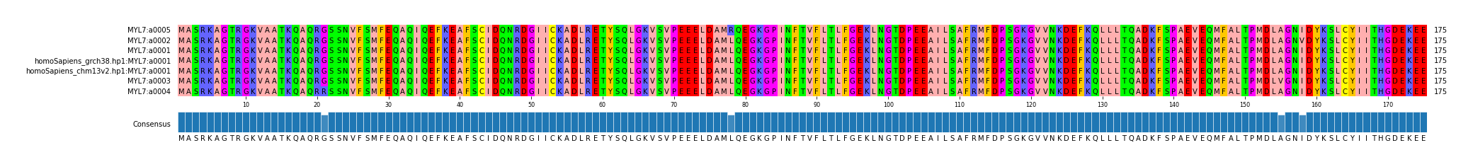 Multiple Alignments (by translate haplotype similarity)
