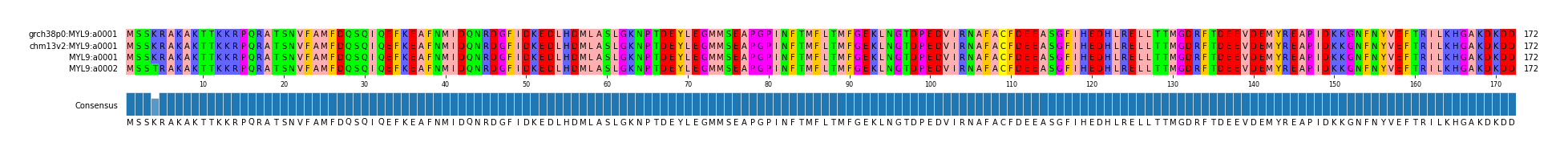Multiple Alignments (by translate haplotype similarity)