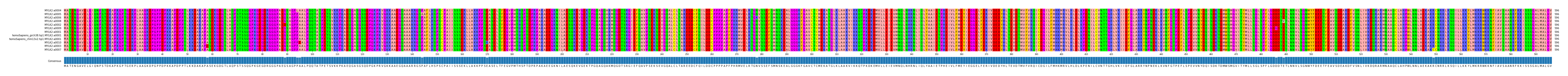 Multiple Alignments (by translate haplotype similarity)