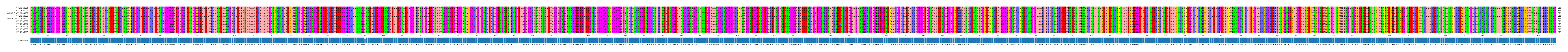 Multiple Alignments (by translate haplotype similarity)