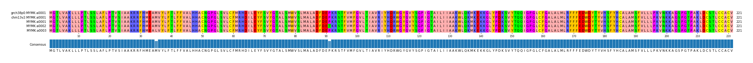 Multiple Alignments (by translate haplotype frequency)
