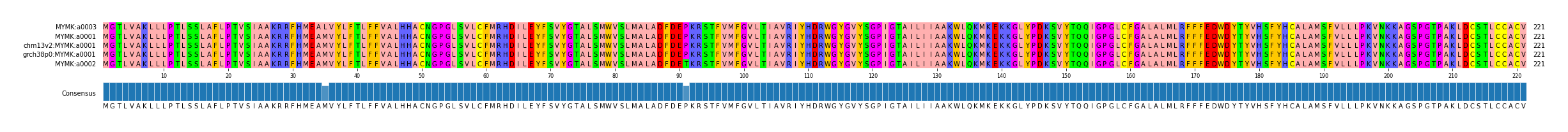 Multiple Alignments (by translate haplotype similarity)