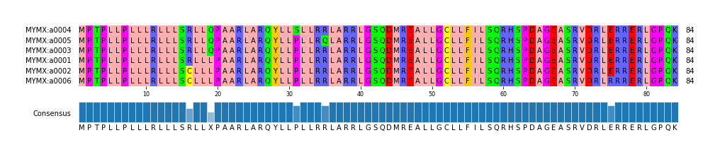 Multiple Alignments (by translate haplotype similarity)