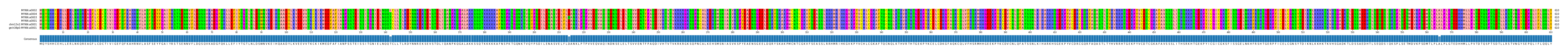Multiple Alignments (by translate haplotype similarity)