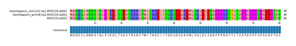Multiple Alignments (by translate haplotype similarity)