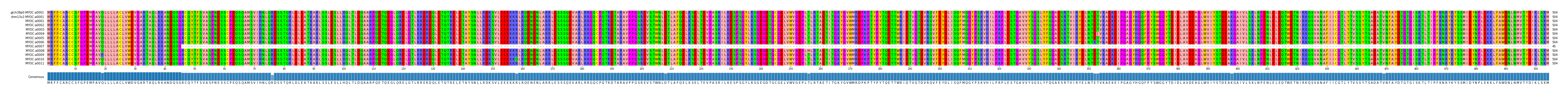 Multiple Alignments (by translate haplotype frequency)