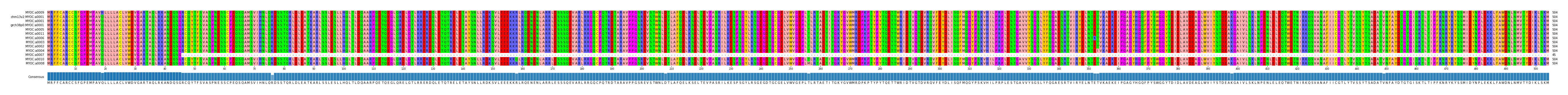 Multiple Alignments (by translate haplotype similarity)