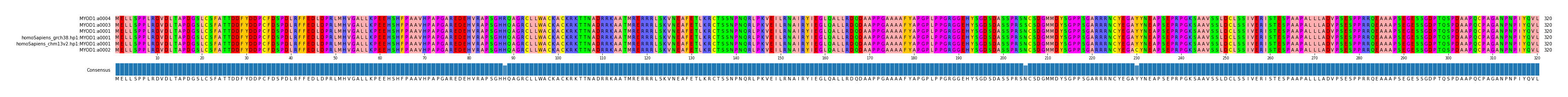 Multiple Alignments (by translate haplotype similarity)