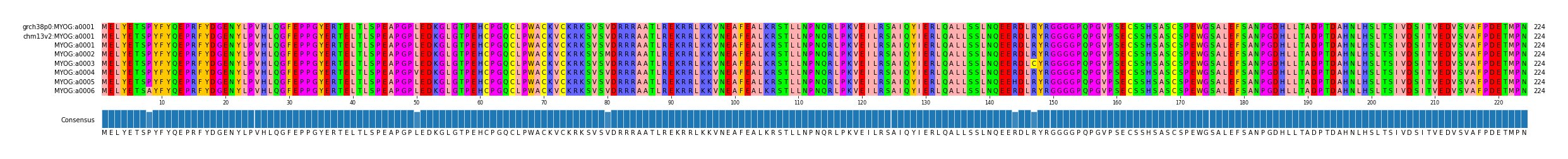 Multiple Alignments (by translate haplotype frequency)