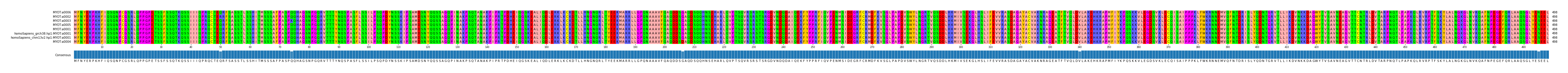 Multiple Alignments (by translate haplotype similarity)