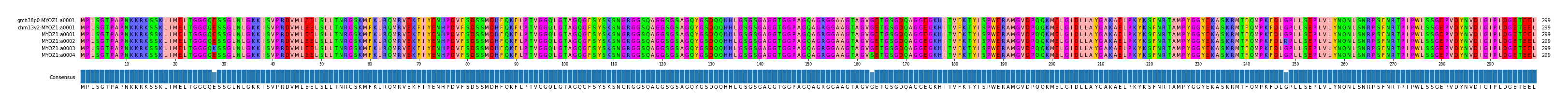 Multiple Alignments (by translate haplotype frequency)