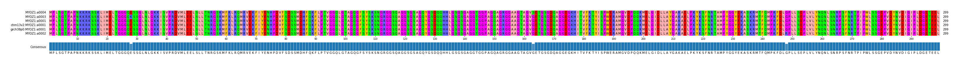Multiple Alignments (by translate haplotype similarity)