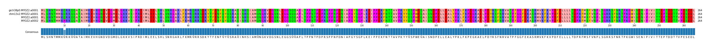 Multiple Alignments (by translate haplotype similarity)