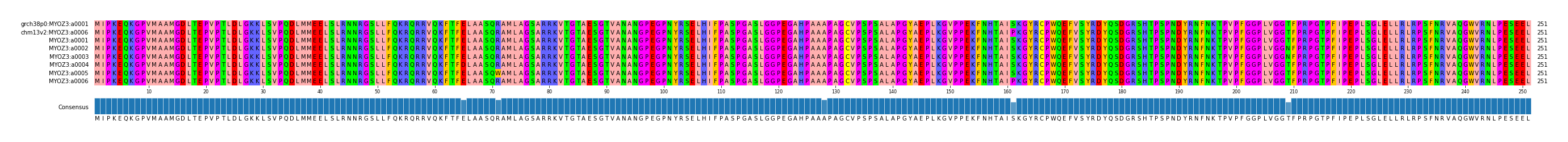 Multiple Alignments (by translate haplotype frequency)