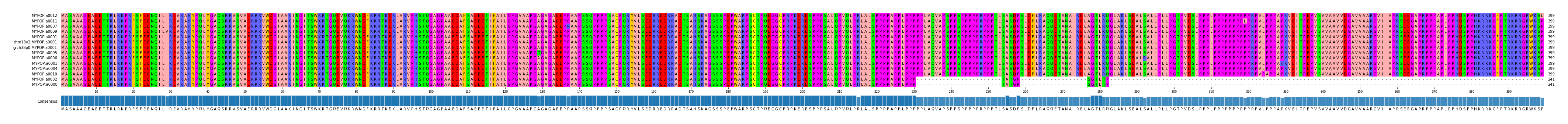 Multiple Alignments (by translate haplotype similarity)
