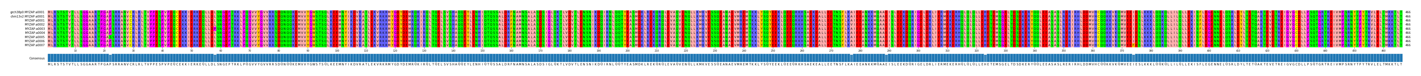 Multiple Alignments (by translate haplotype frequency)