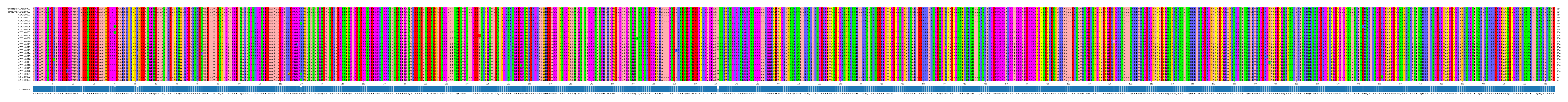 Multiple Alignments (by translate haplotype frequency)