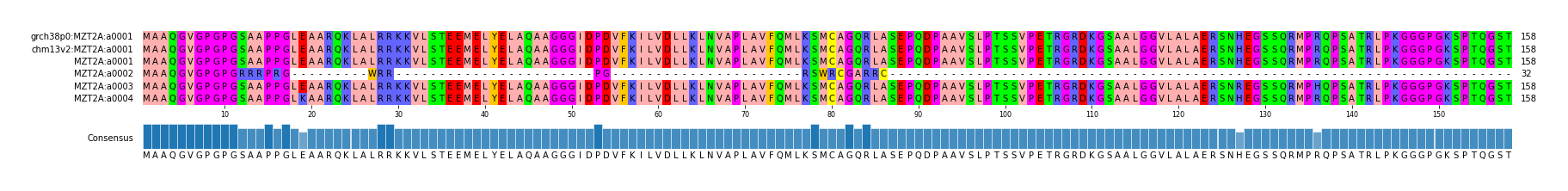 Multiple Alignments (by translate haplotype frequency)