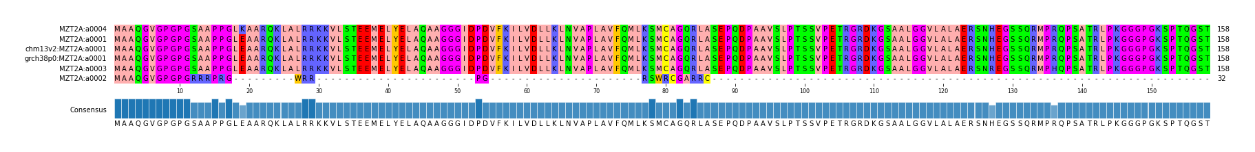 Multiple Alignments (by translate haplotype similarity)