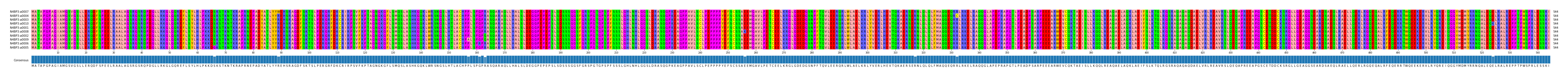Multiple Alignments (by translate haplotype similarity)