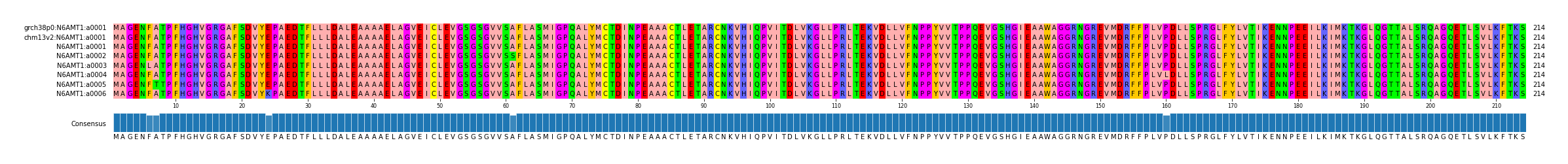 Multiple Alignments (by translate haplotype frequency)