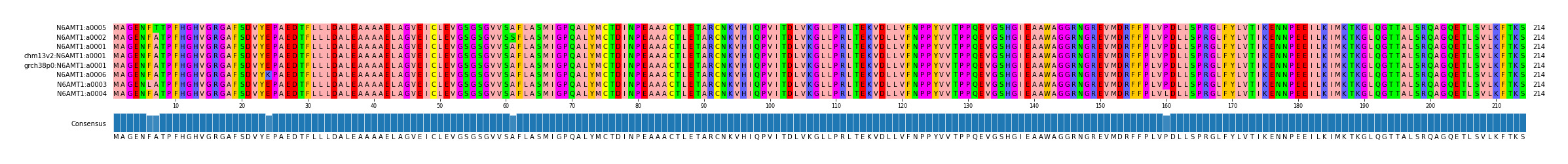 Multiple Alignments (by translate haplotype similarity)