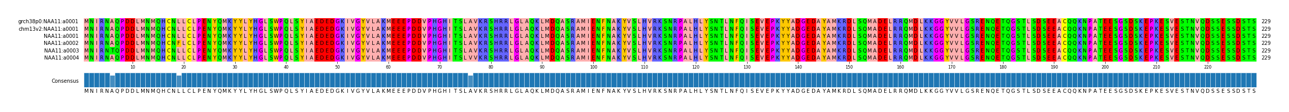 Multiple Alignments (by translate haplotype frequency)