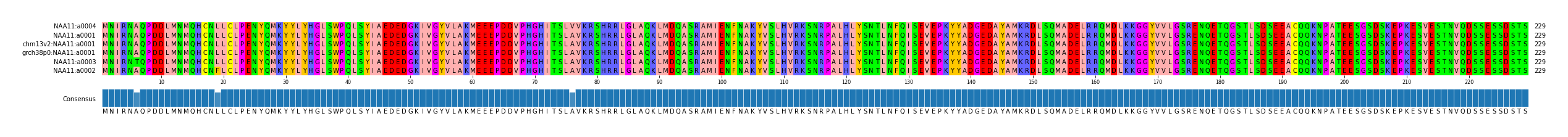 Multiple Alignments (by translate haplotype similarity)