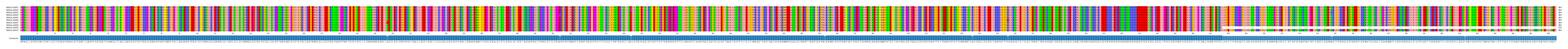 Multiple Alignments (by translate haplotype frequency)