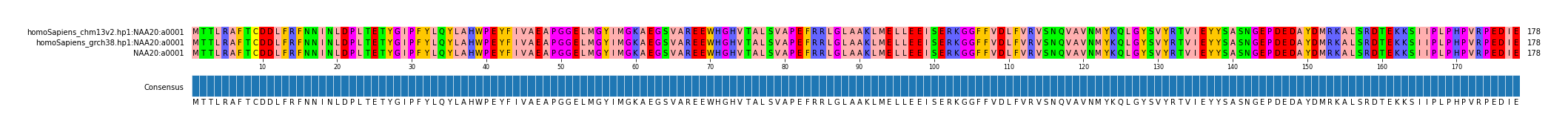 Multiple Alignments (by translate haplotype similarity)