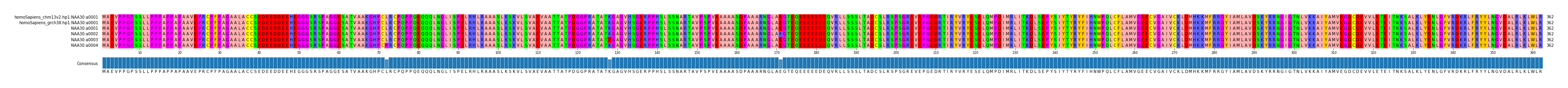 Multiple Alignments (by translate haplotype frequency)