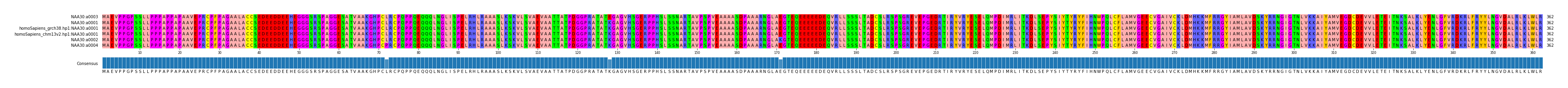 Multiple Alignments (by translate haplotype similarity)