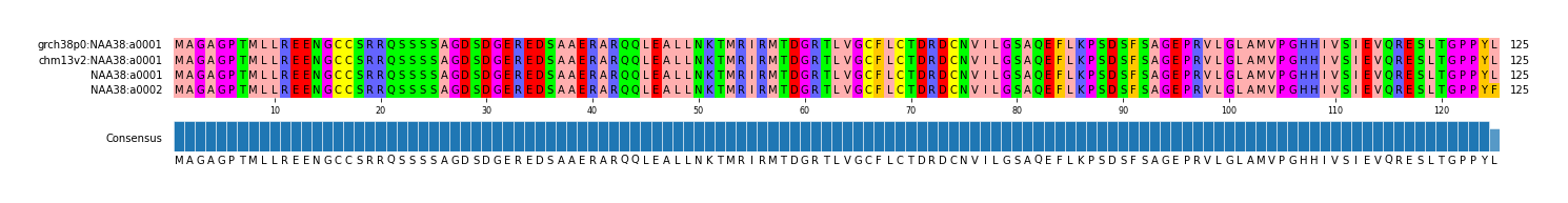 Multiple Alignments (by translate haplotype similarity)