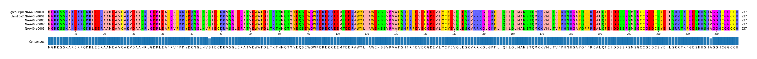 Multiple Alignments (by translate haplotype frequency)