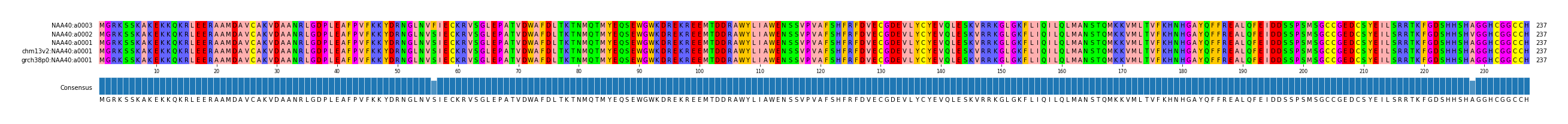Multiple Alignments (by translate haplotype similarity)